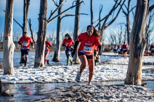 1142 VLE Ago2025 GZ 2048px