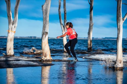 1155 VLE Ago2025 GZ 2048px