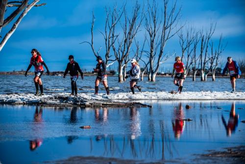 1167 VLE Ago2025 GZ 2048px